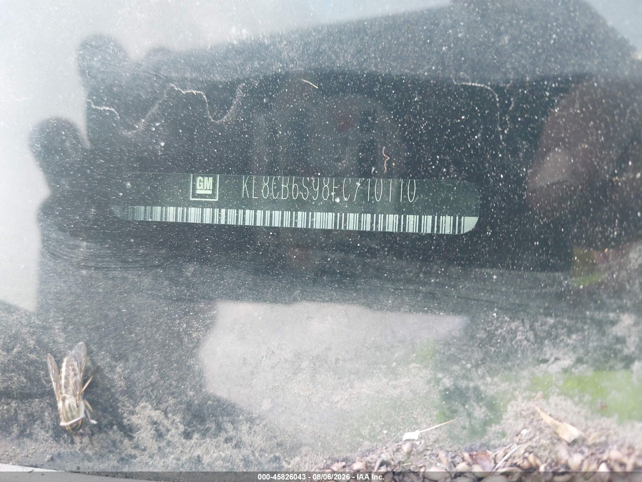 Image 11