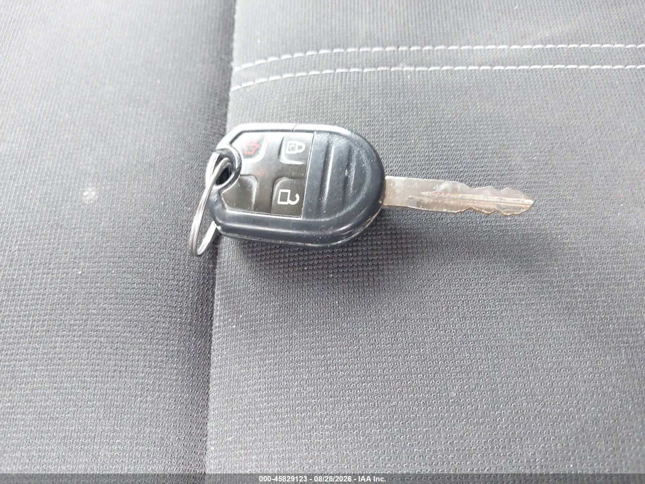 Image 11