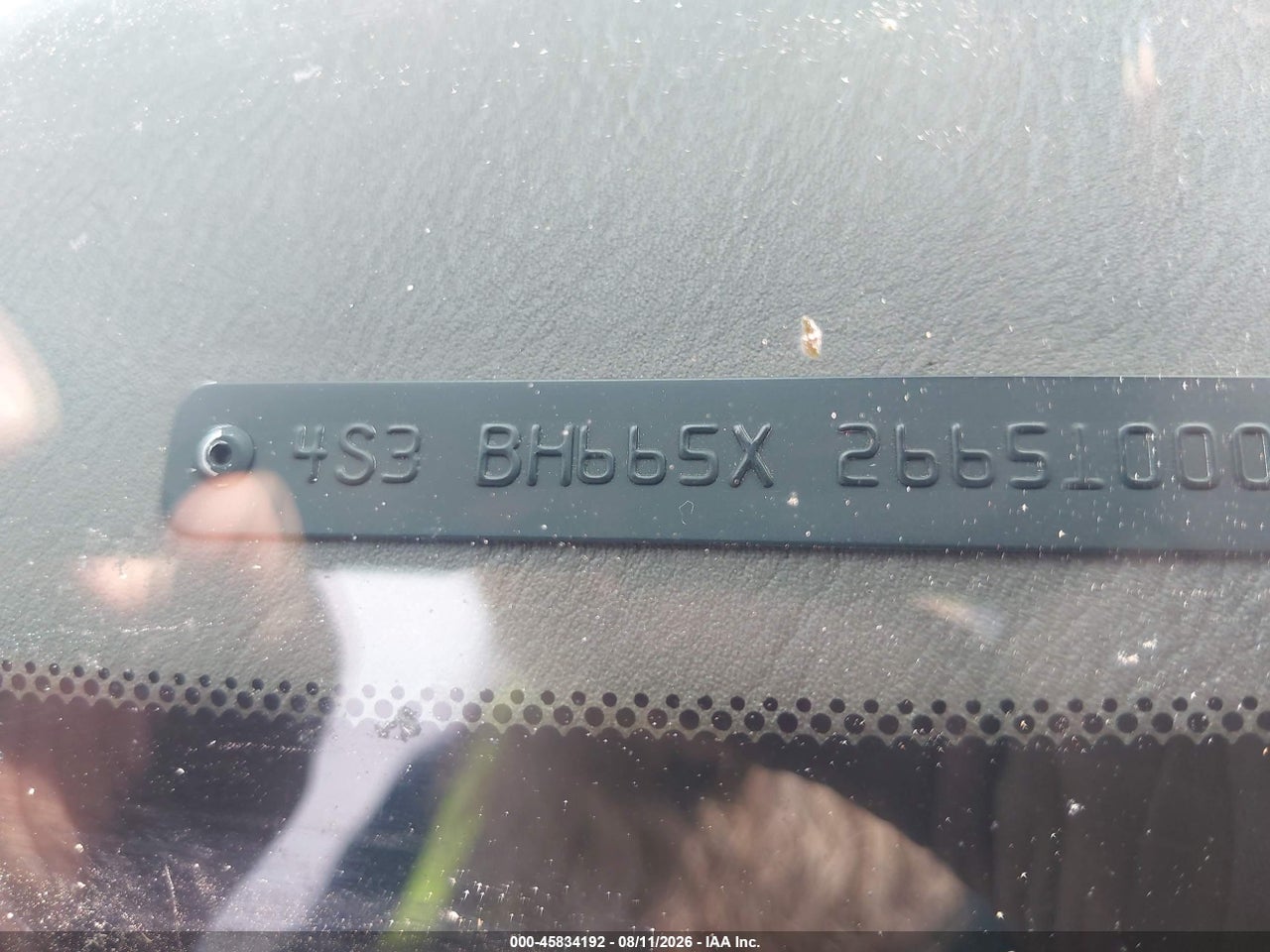Image 8