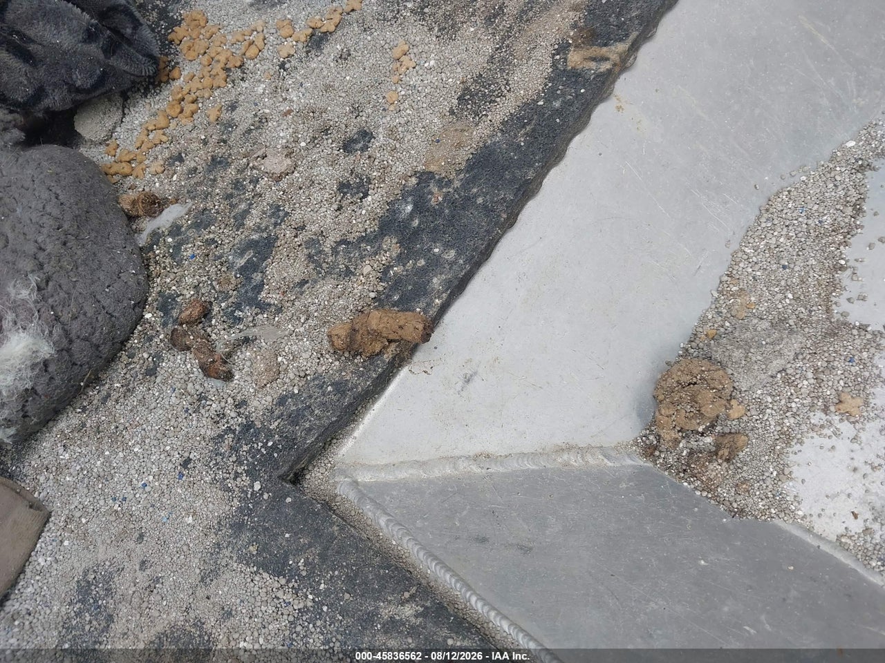 Image 20