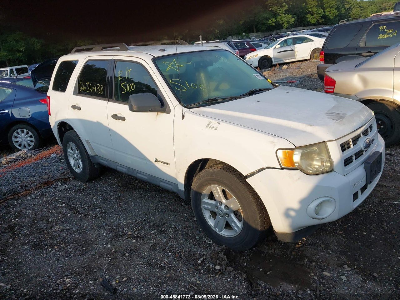 2010 Ford Escape