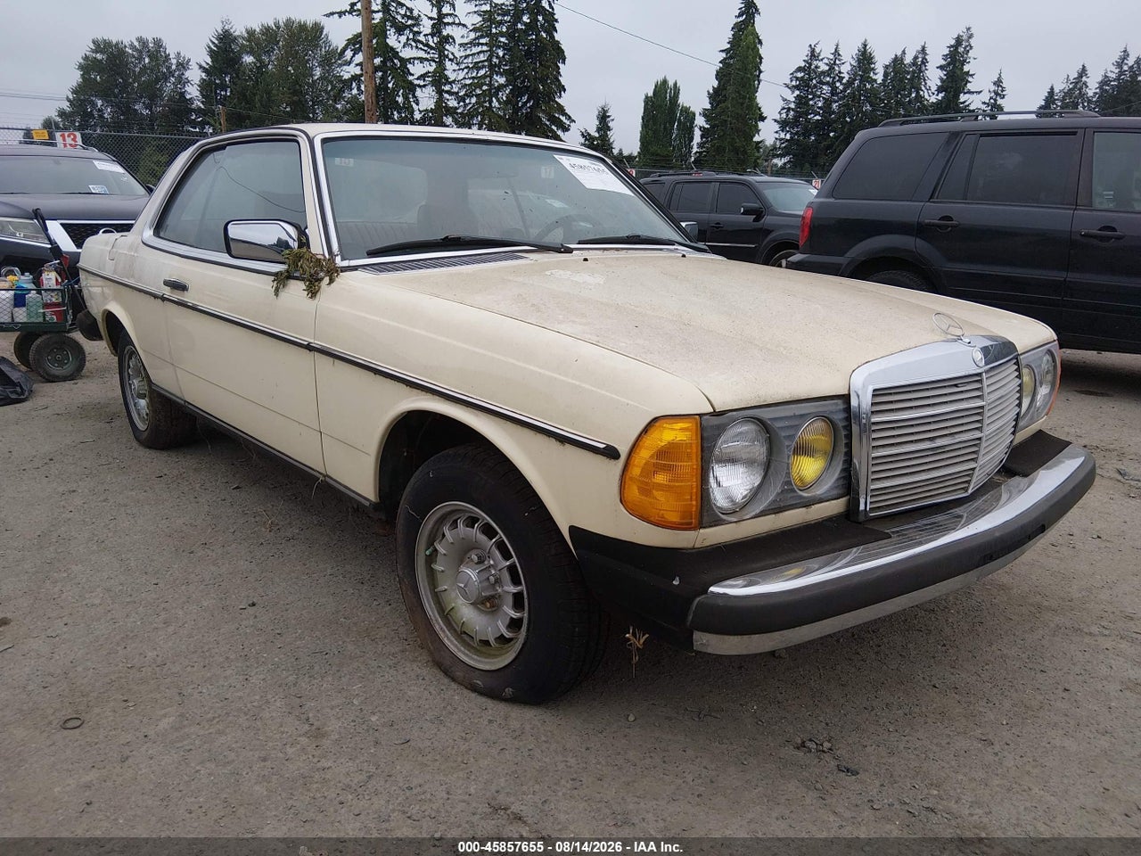 12315012****** · 1980 MERCEDES-BENZ 300 SERIES 300CD