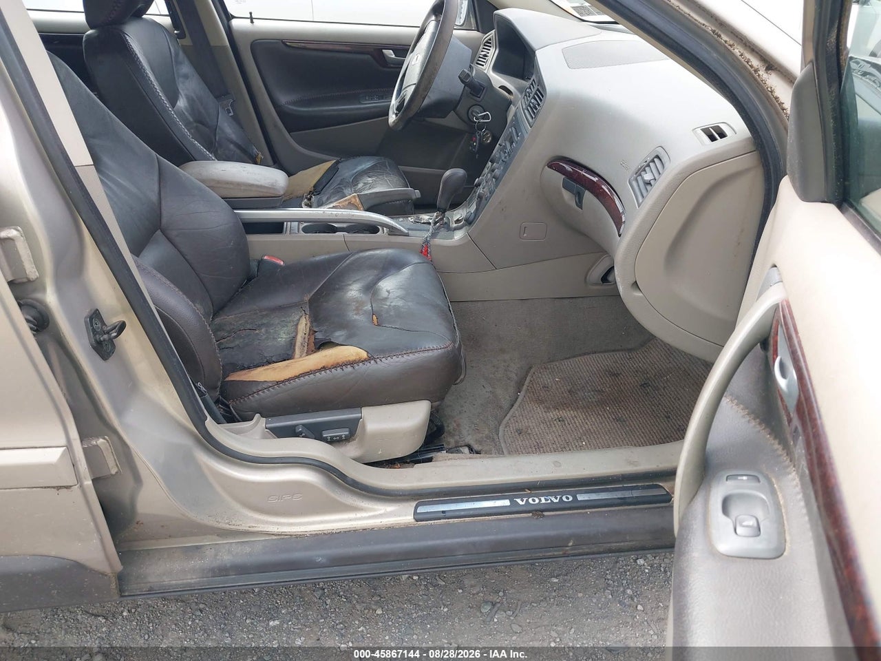 Image 5