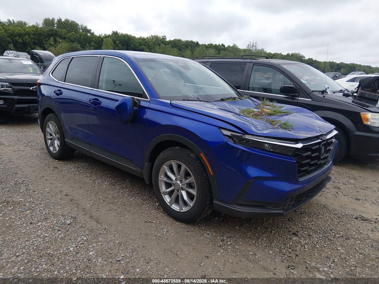 2024 Honda CR-V