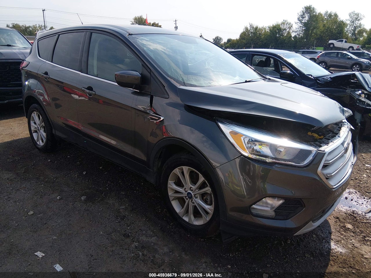 2019 Ford Escape