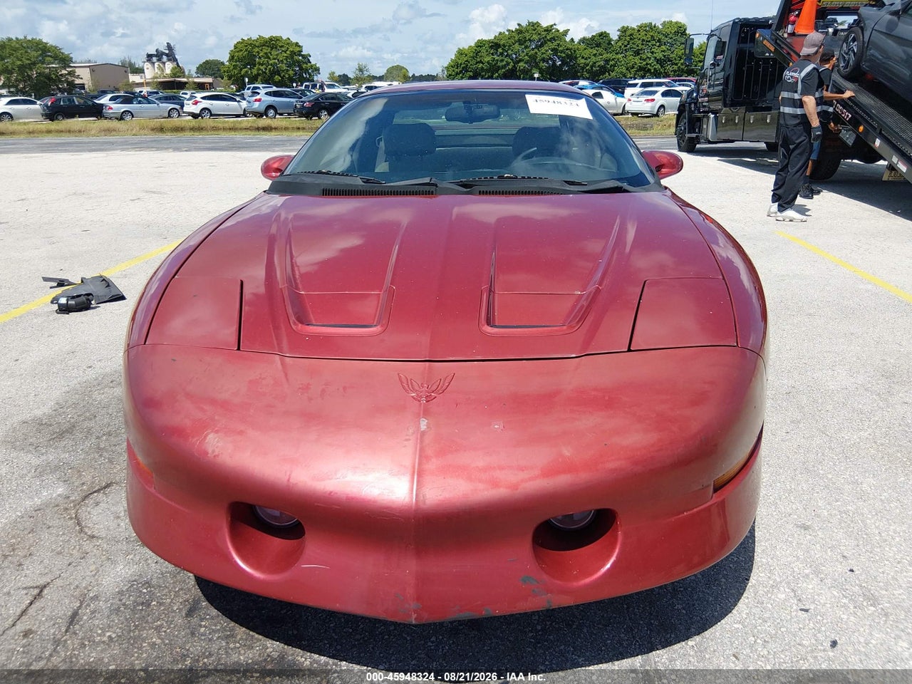 Image 6