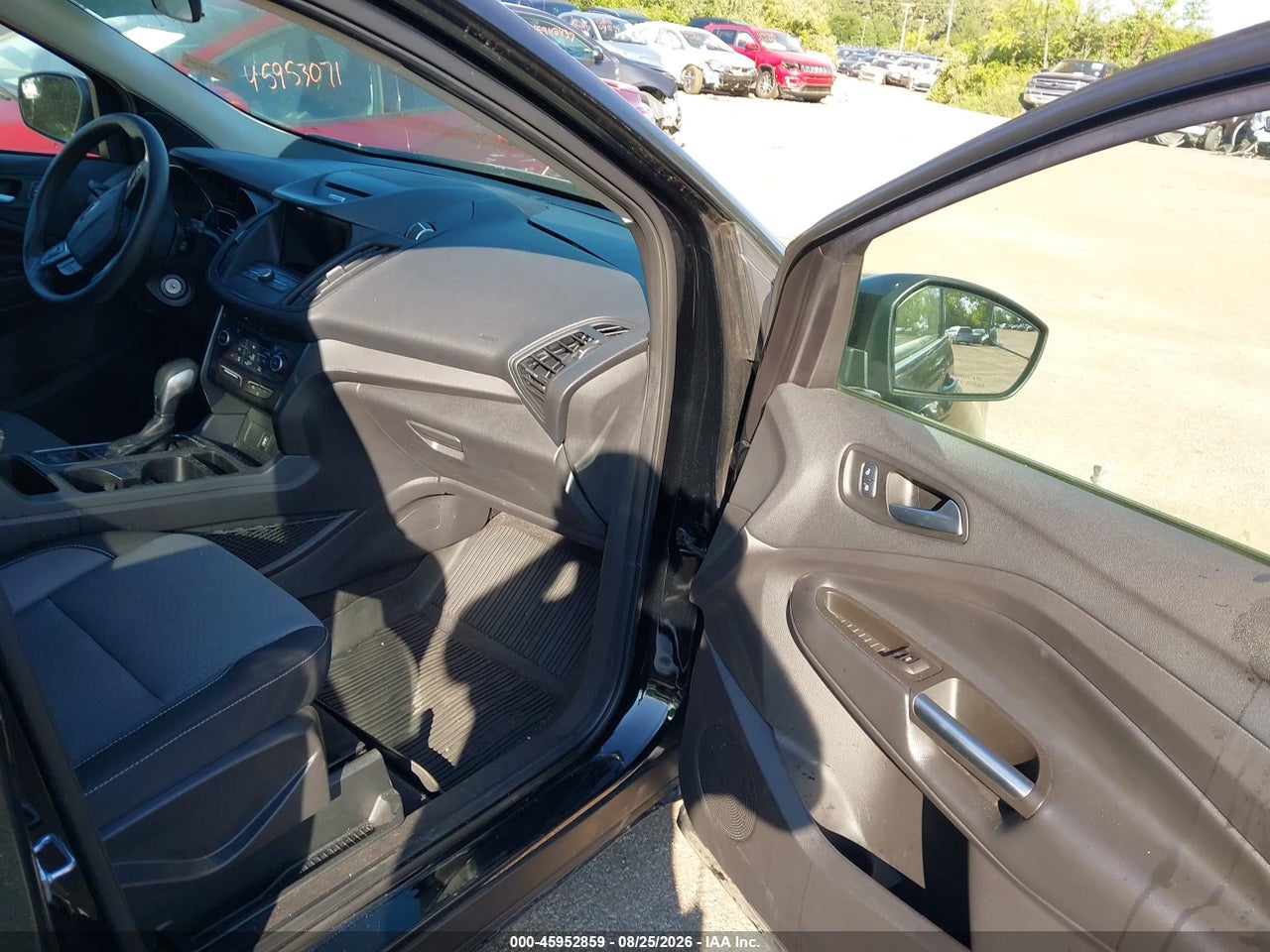 Image 5