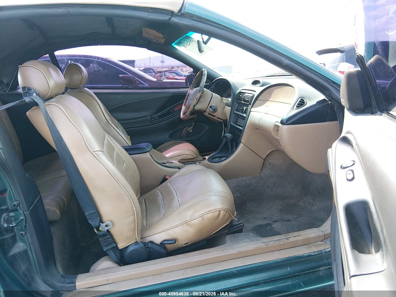 Image 5