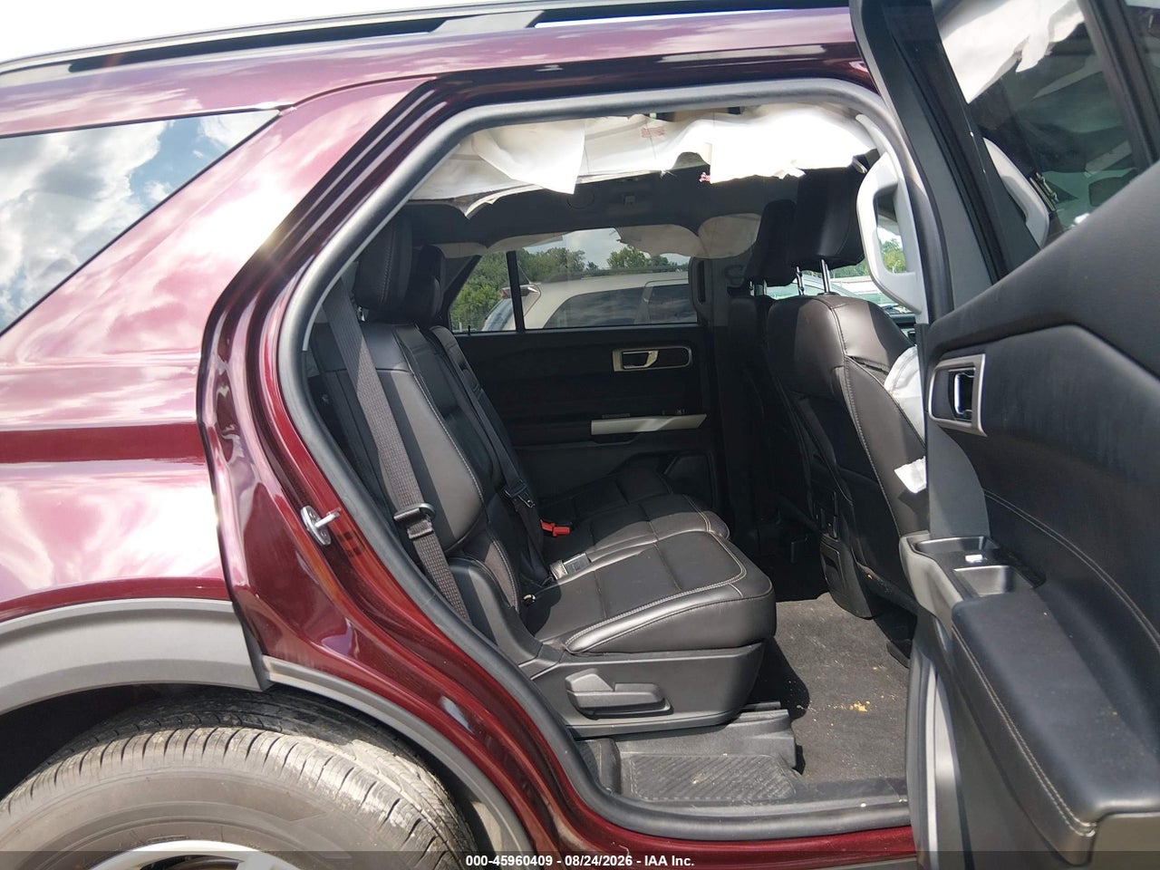 Image 8