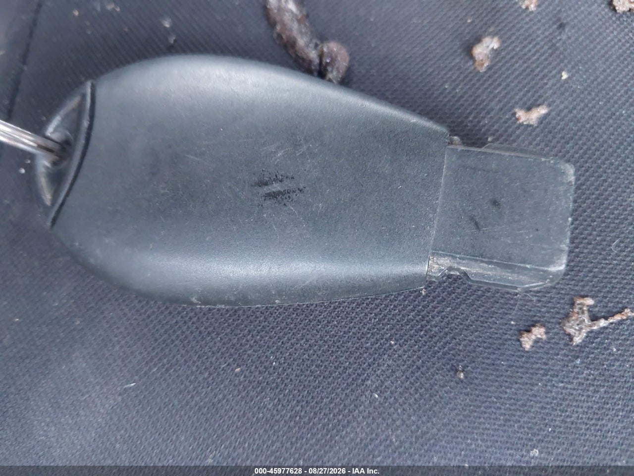 Image 11
