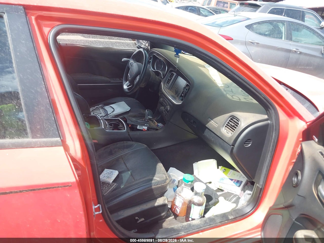 Image 5