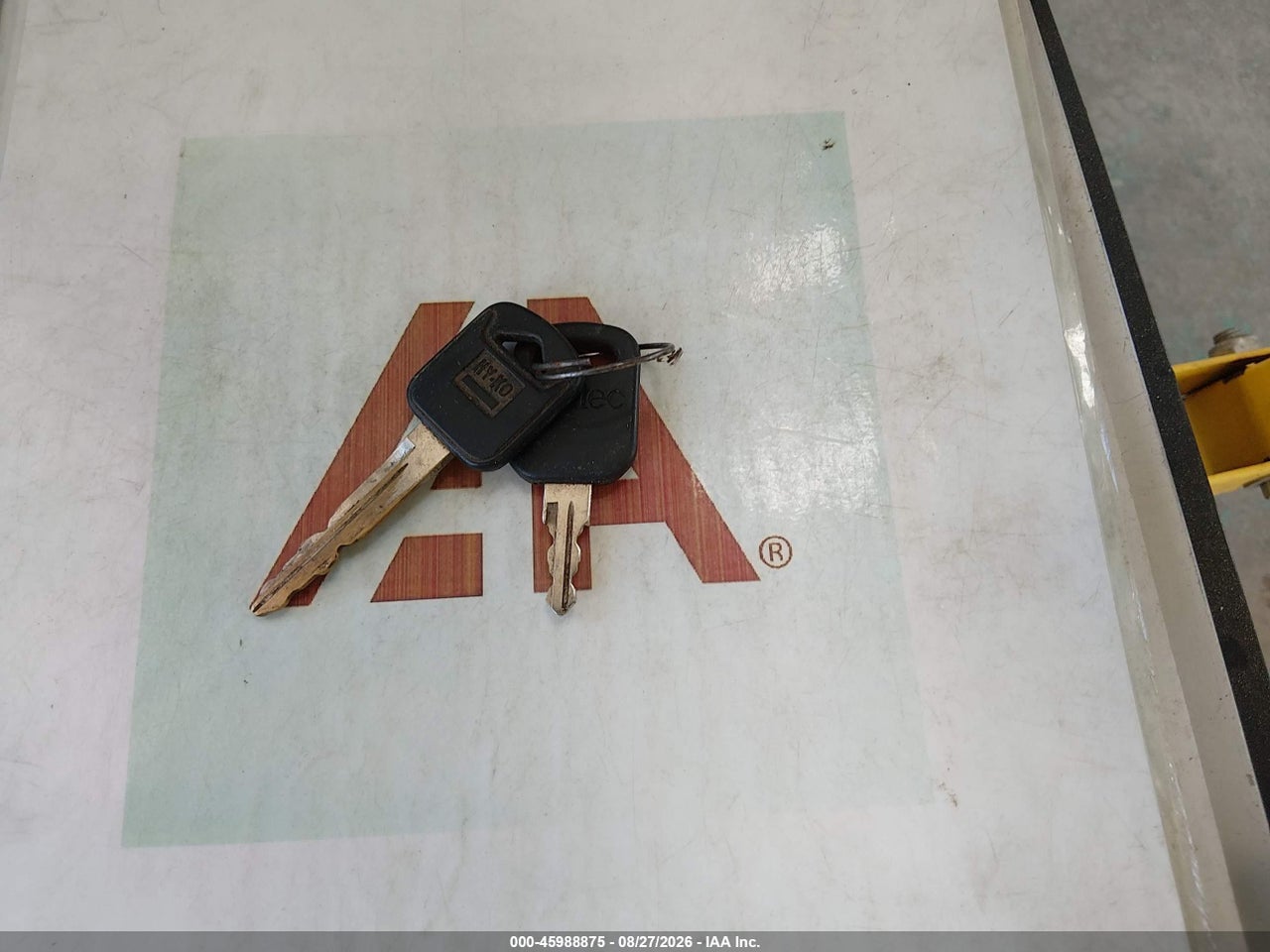 Image 11