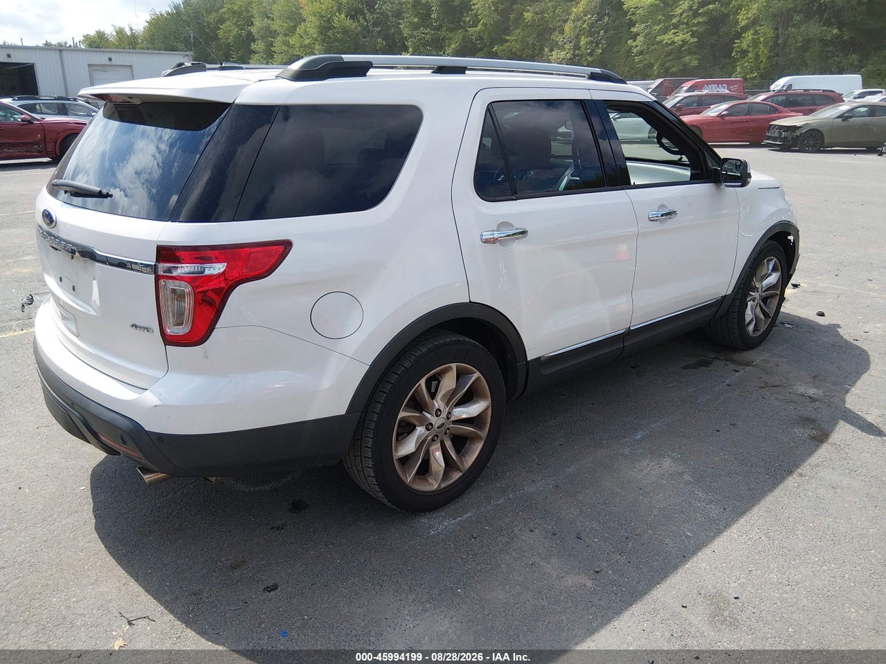 Image 4