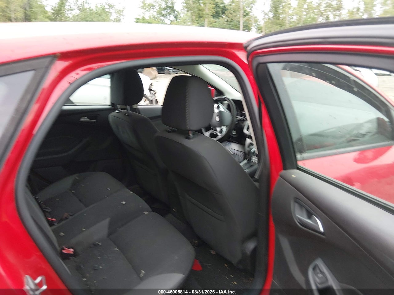 Image 7