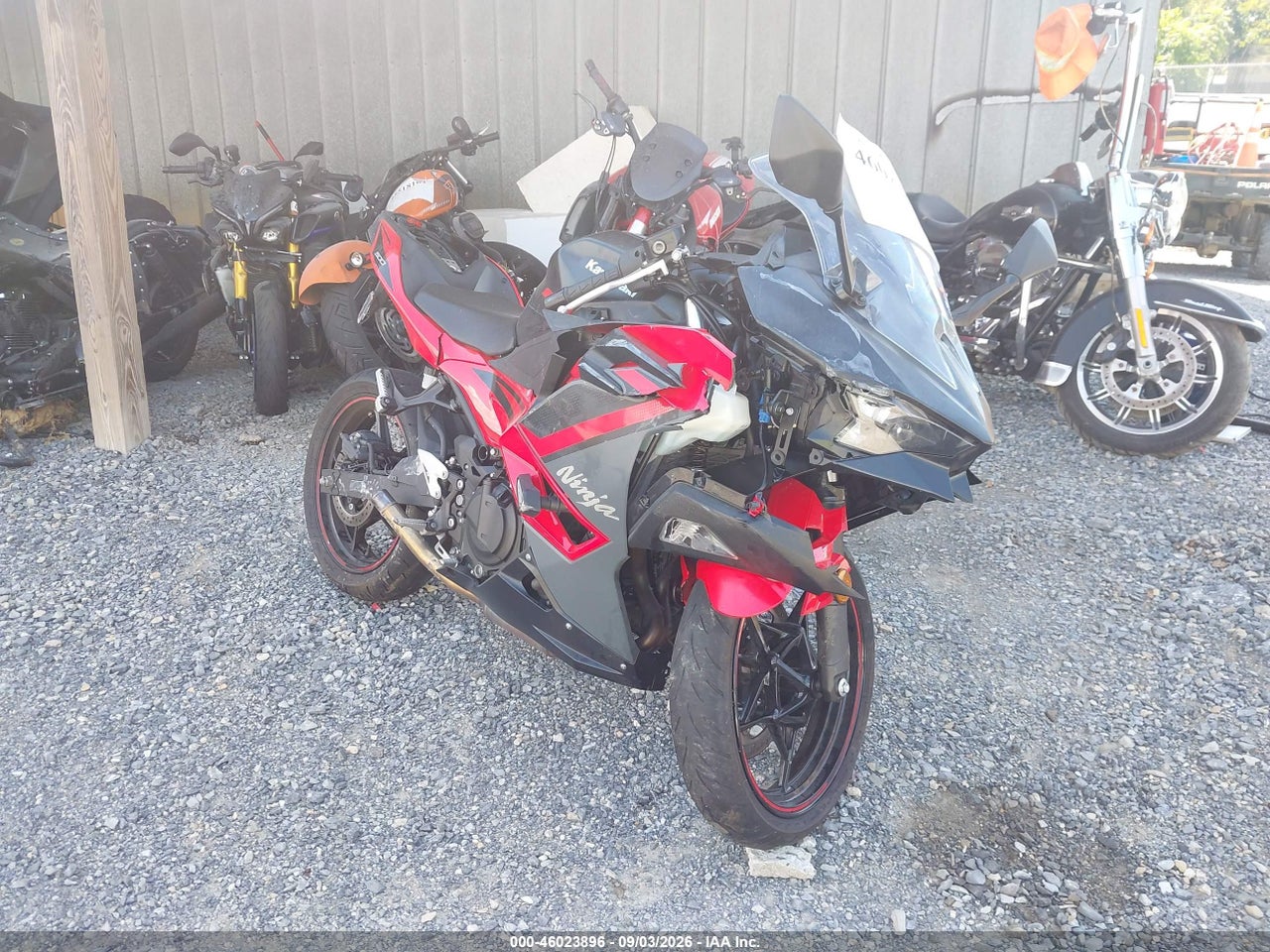 2024 kawasaki ninja