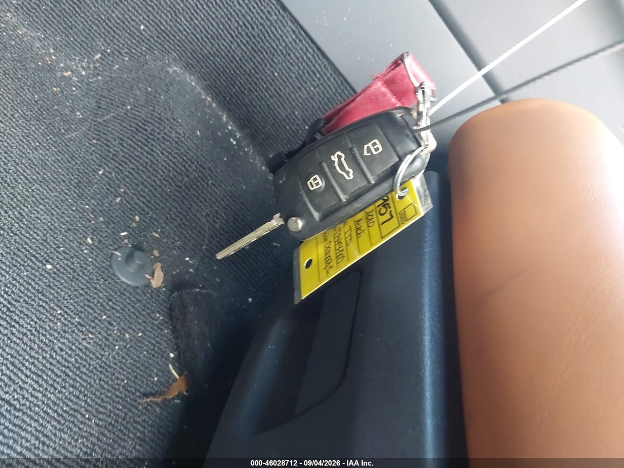 Image 11