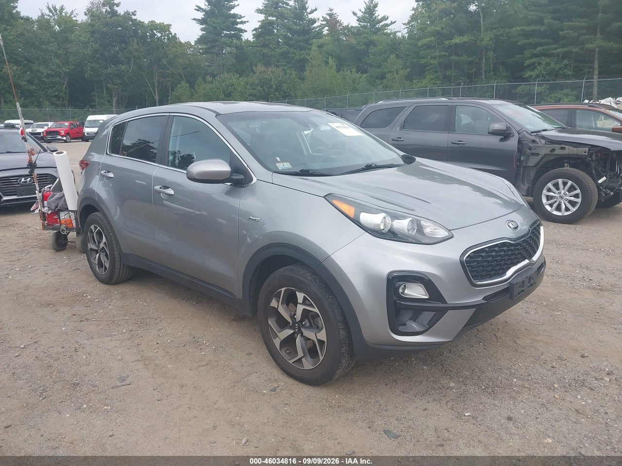 2022 Kia Sportage