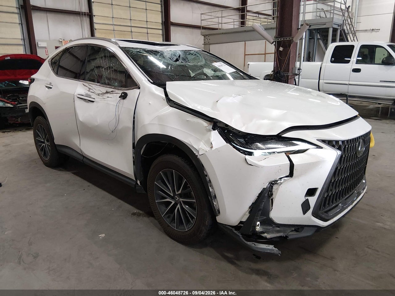 2024 Lexus NX