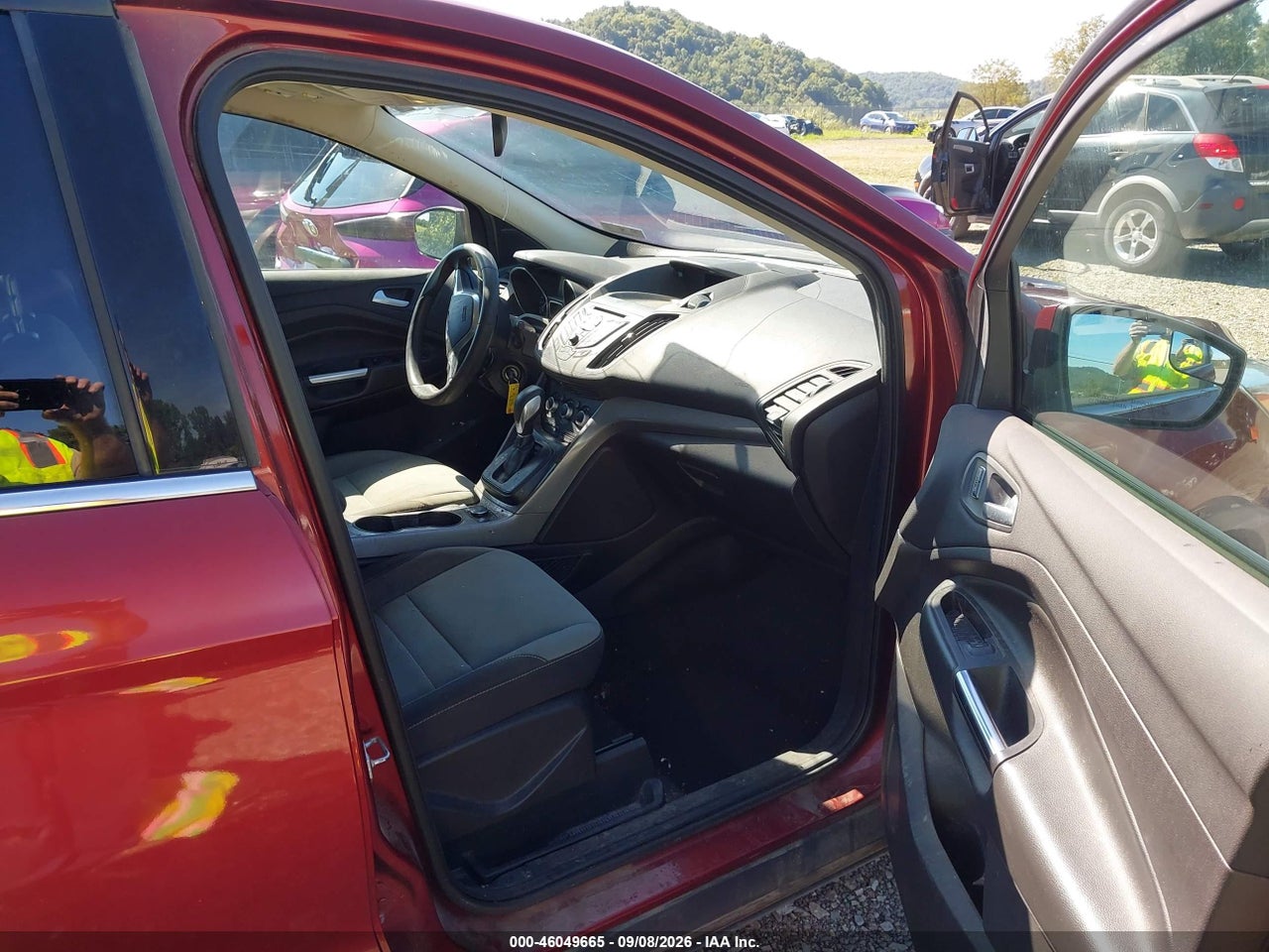 Image 5