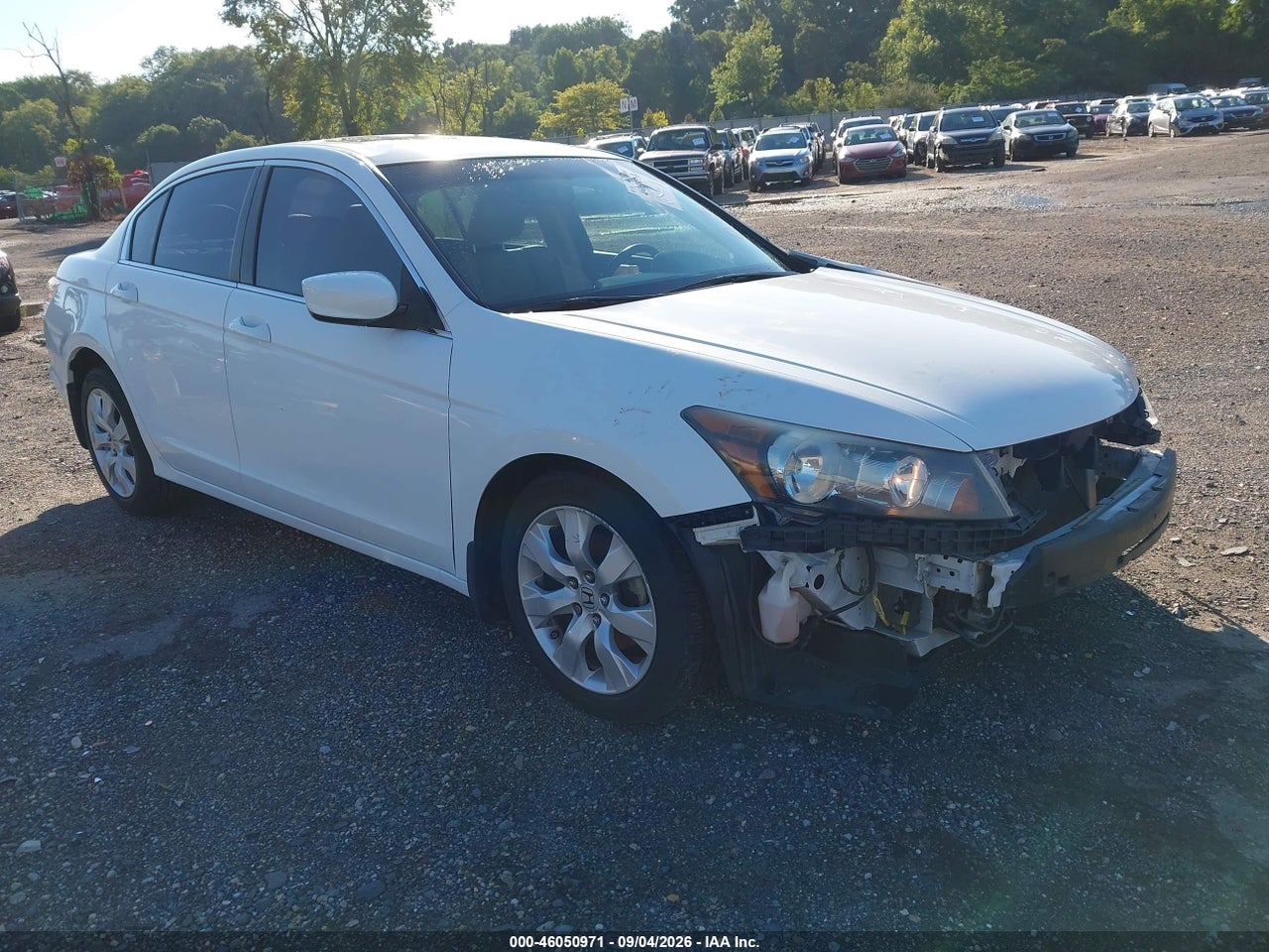2010 Honda Accord