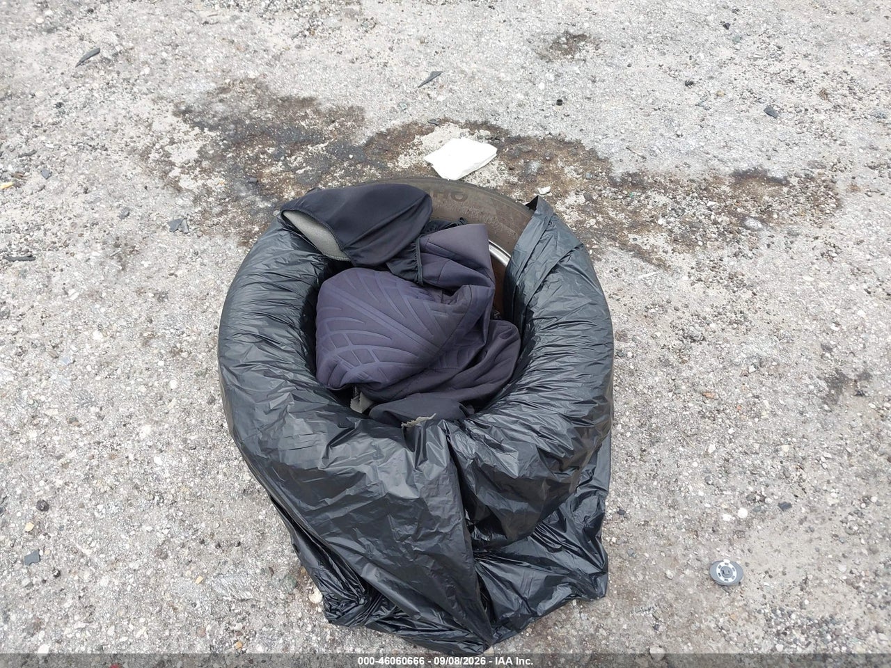 Image 12