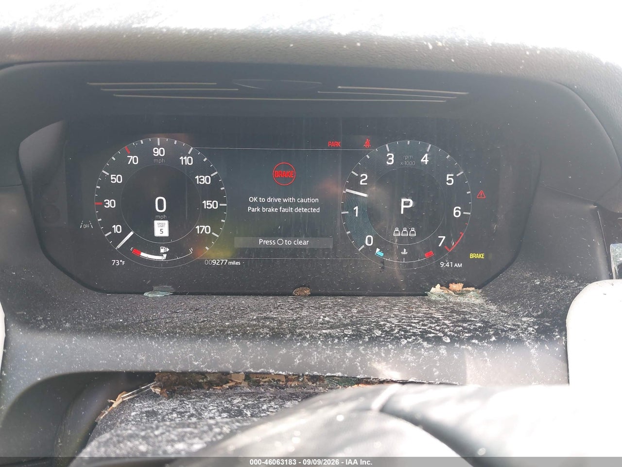 Image 7