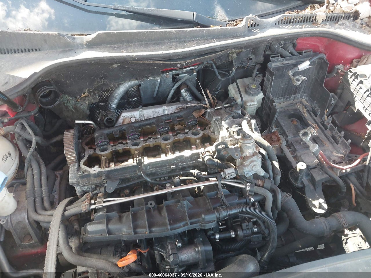 Image 6