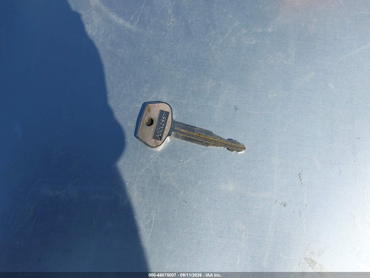 Image 11