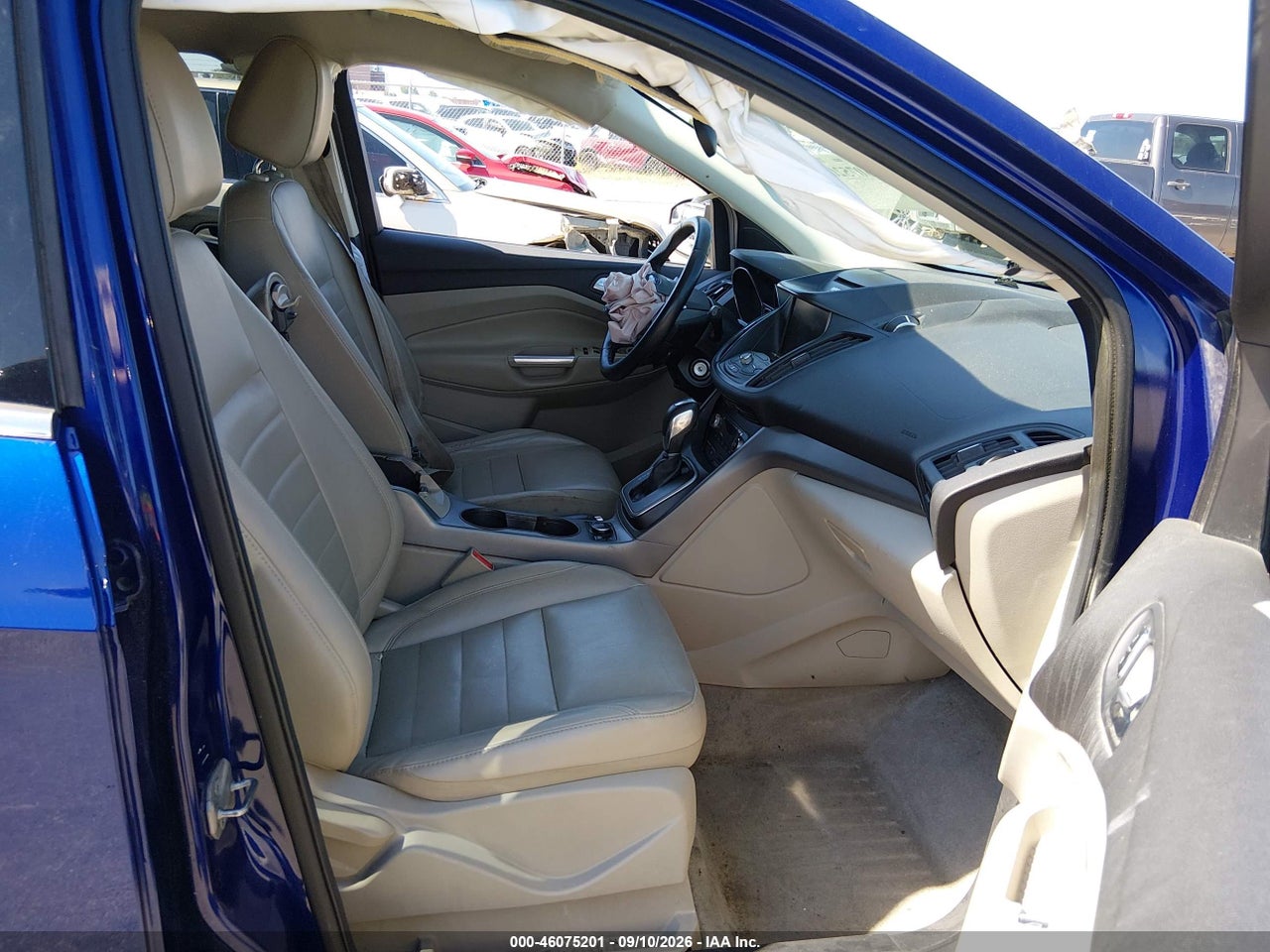 Image 5