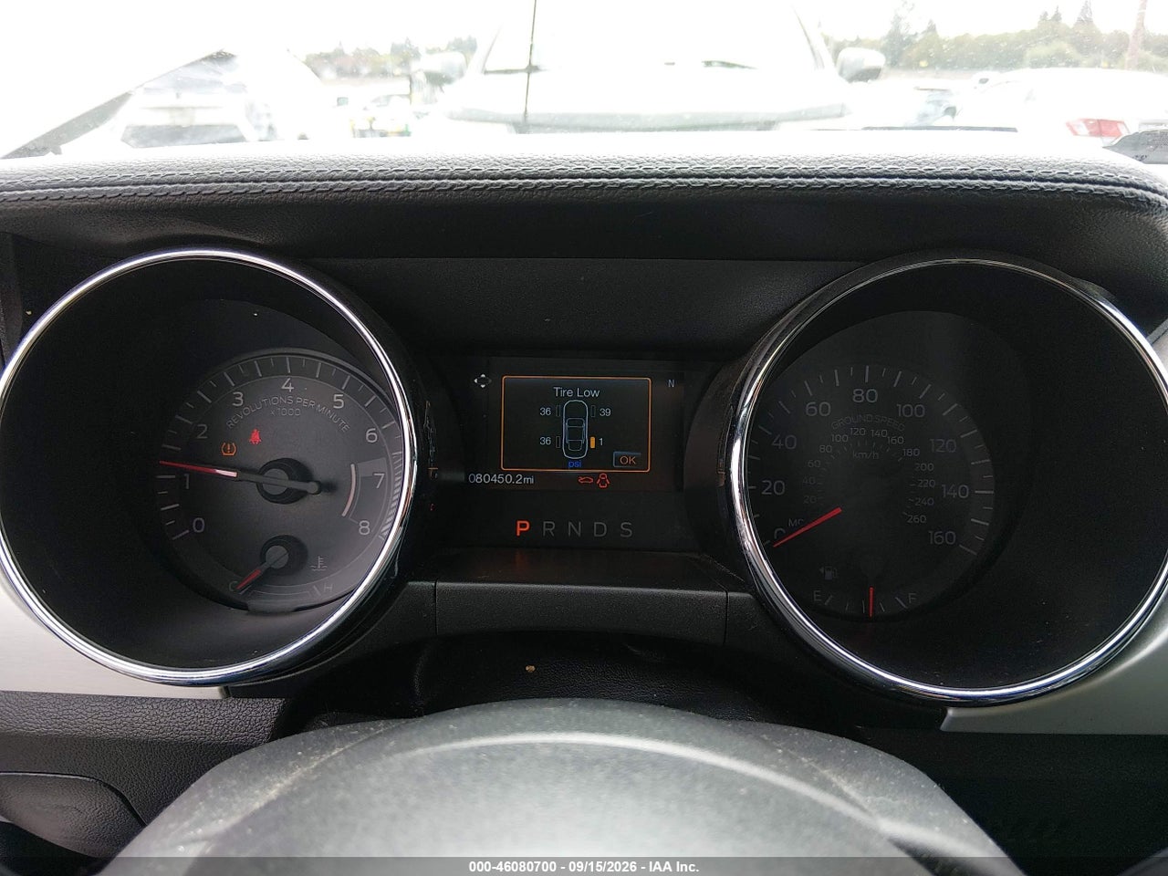 Image 7