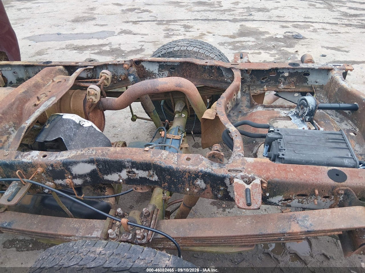 Image 12
