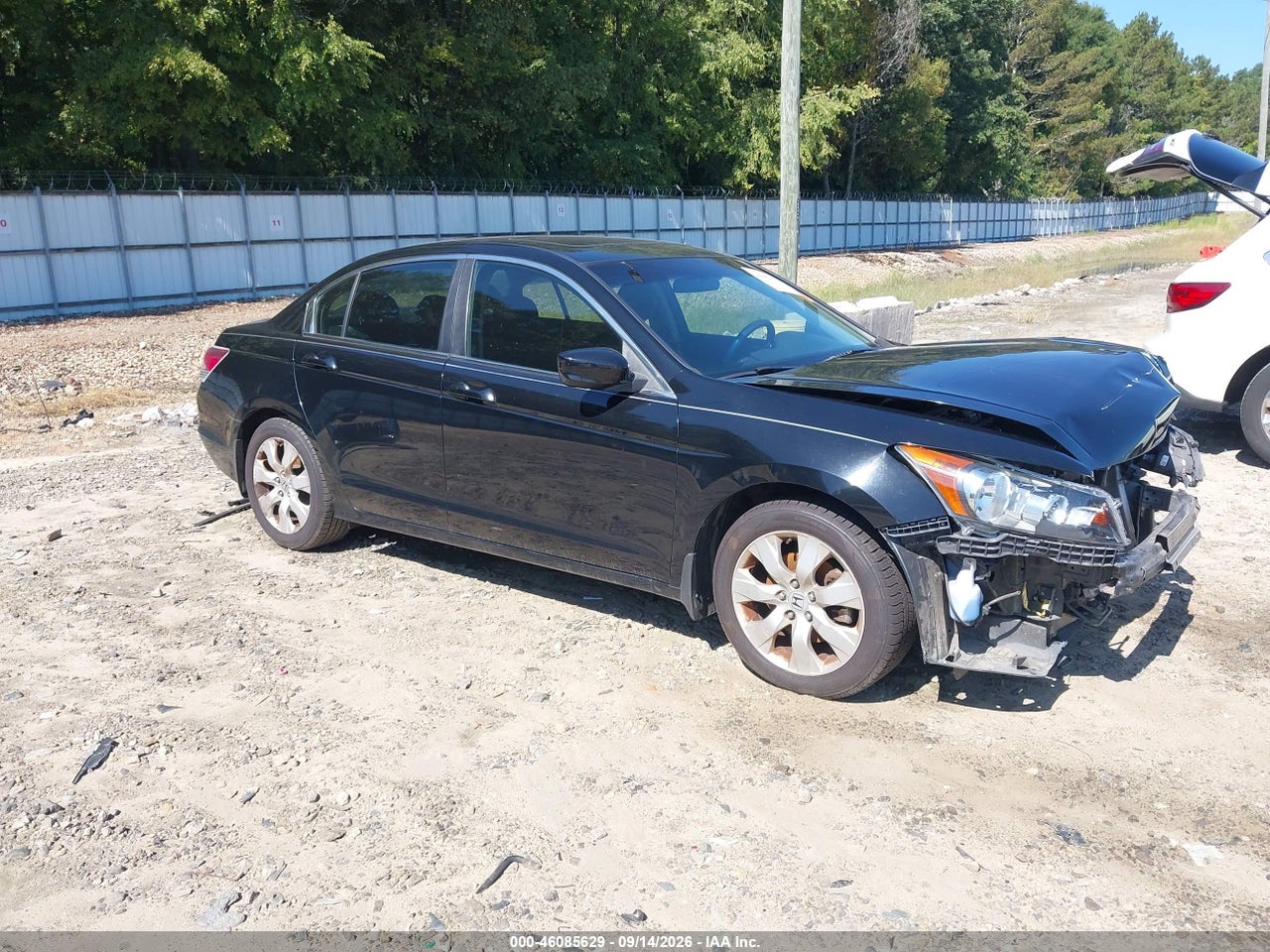 2010 Honda Accord