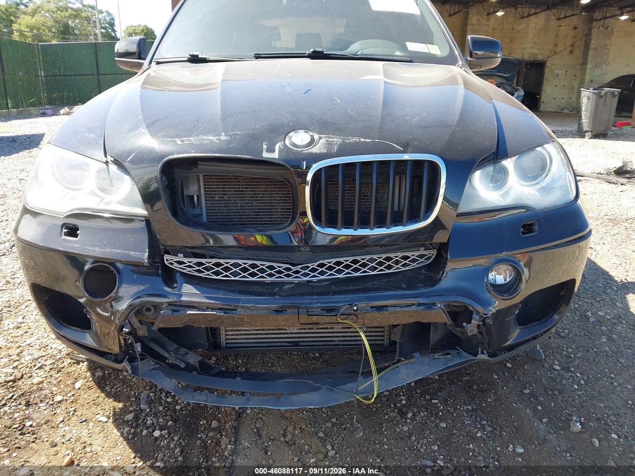 Image 6