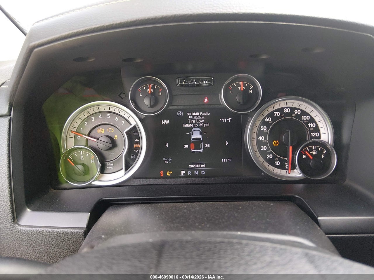 Image 7