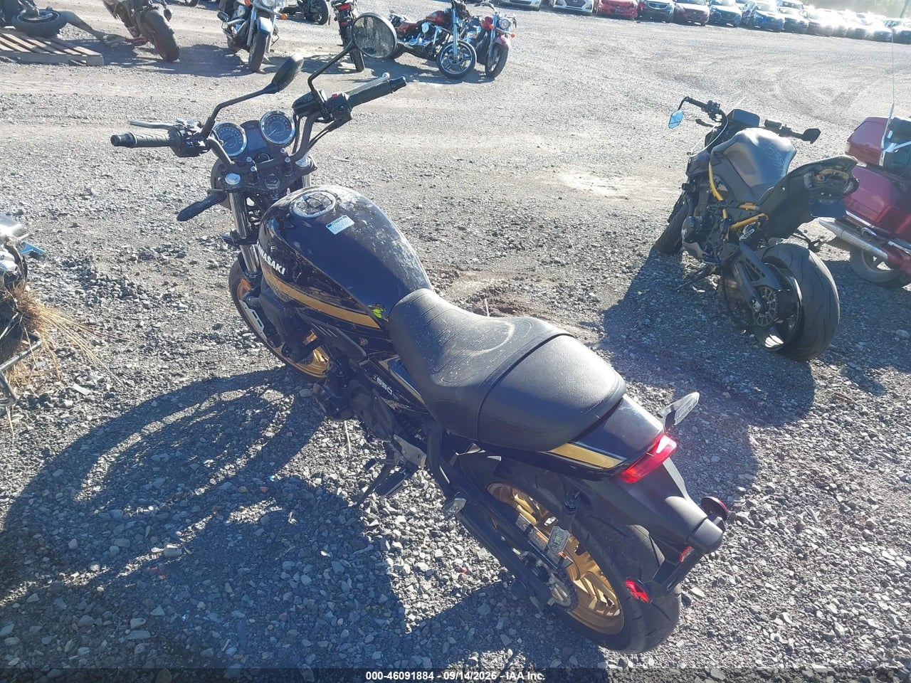 Image 6