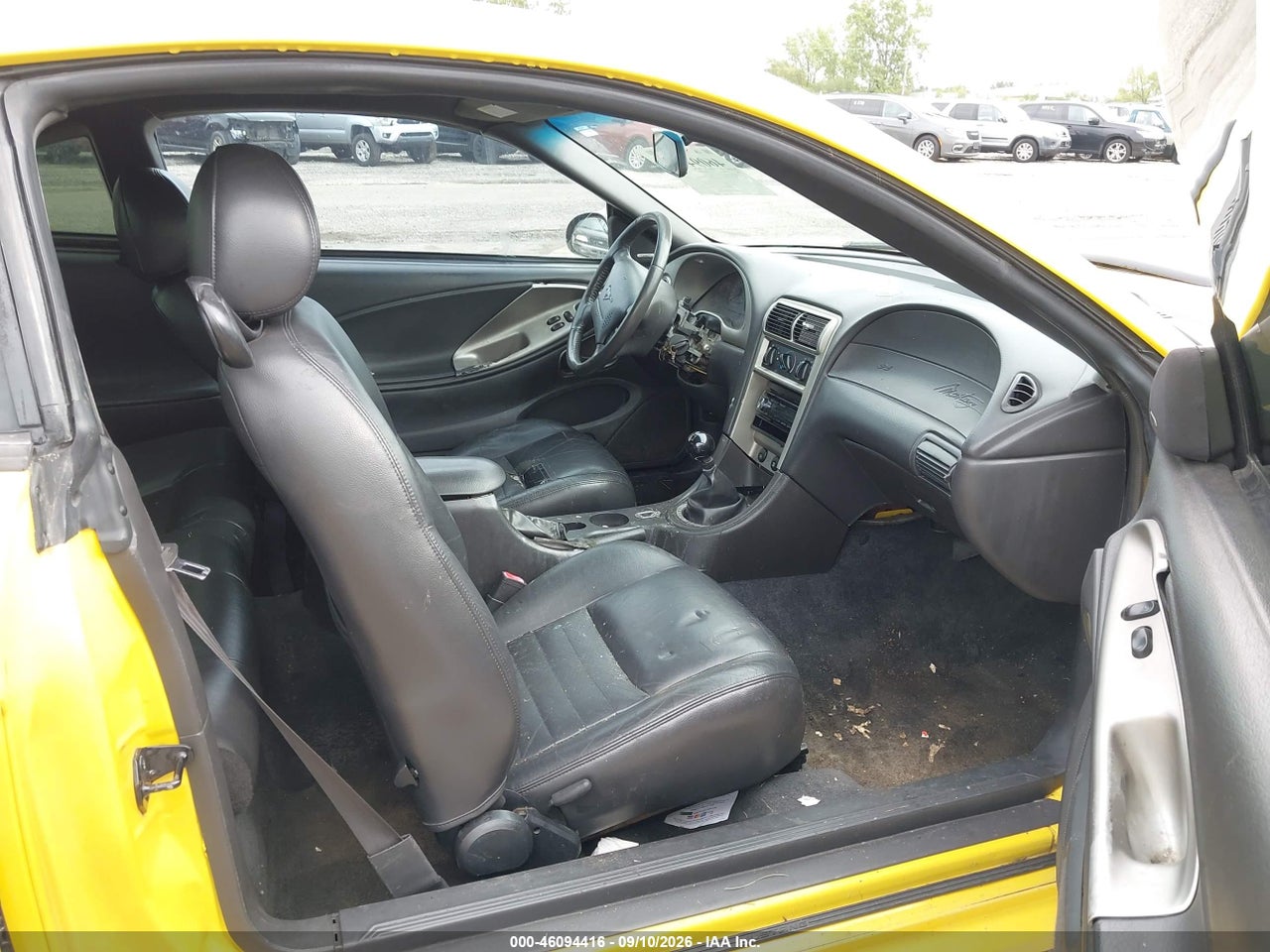 Image 5