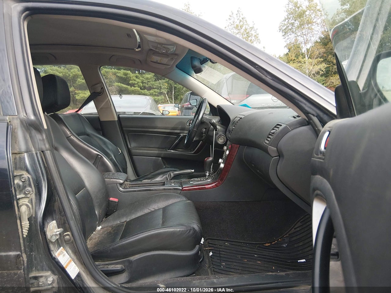 Image 5