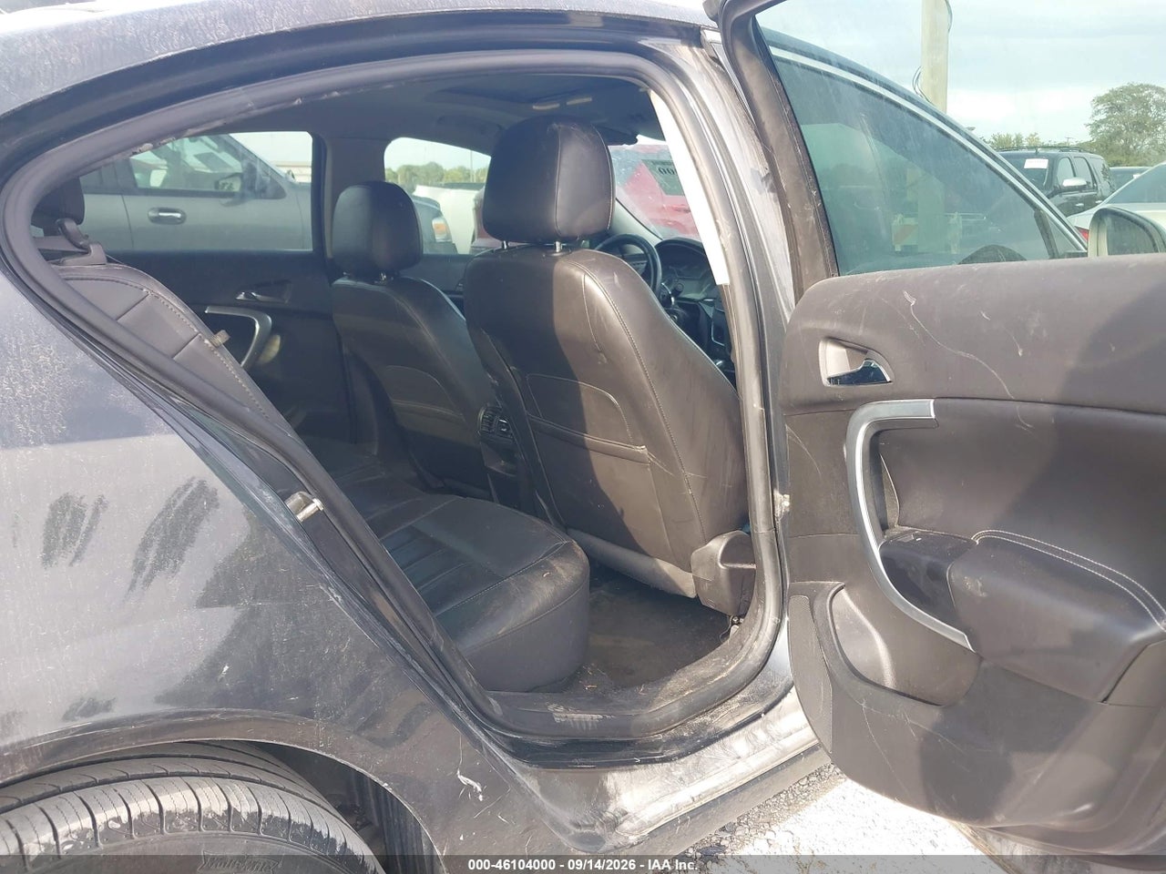Image 8