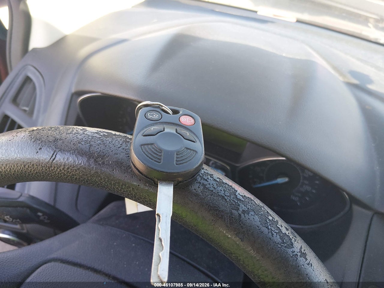 Image 11