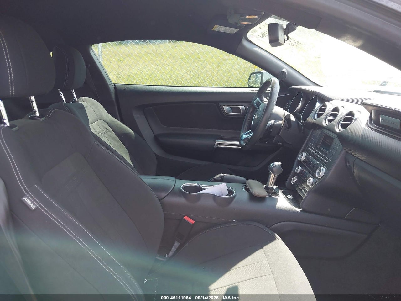Image 5