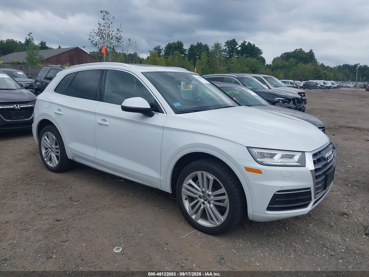 2019 Audi Q5