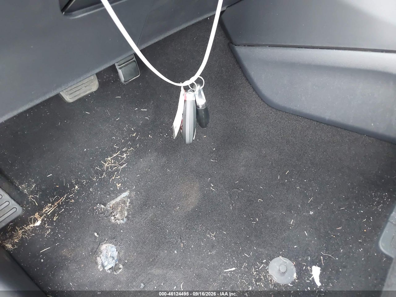 Image 11