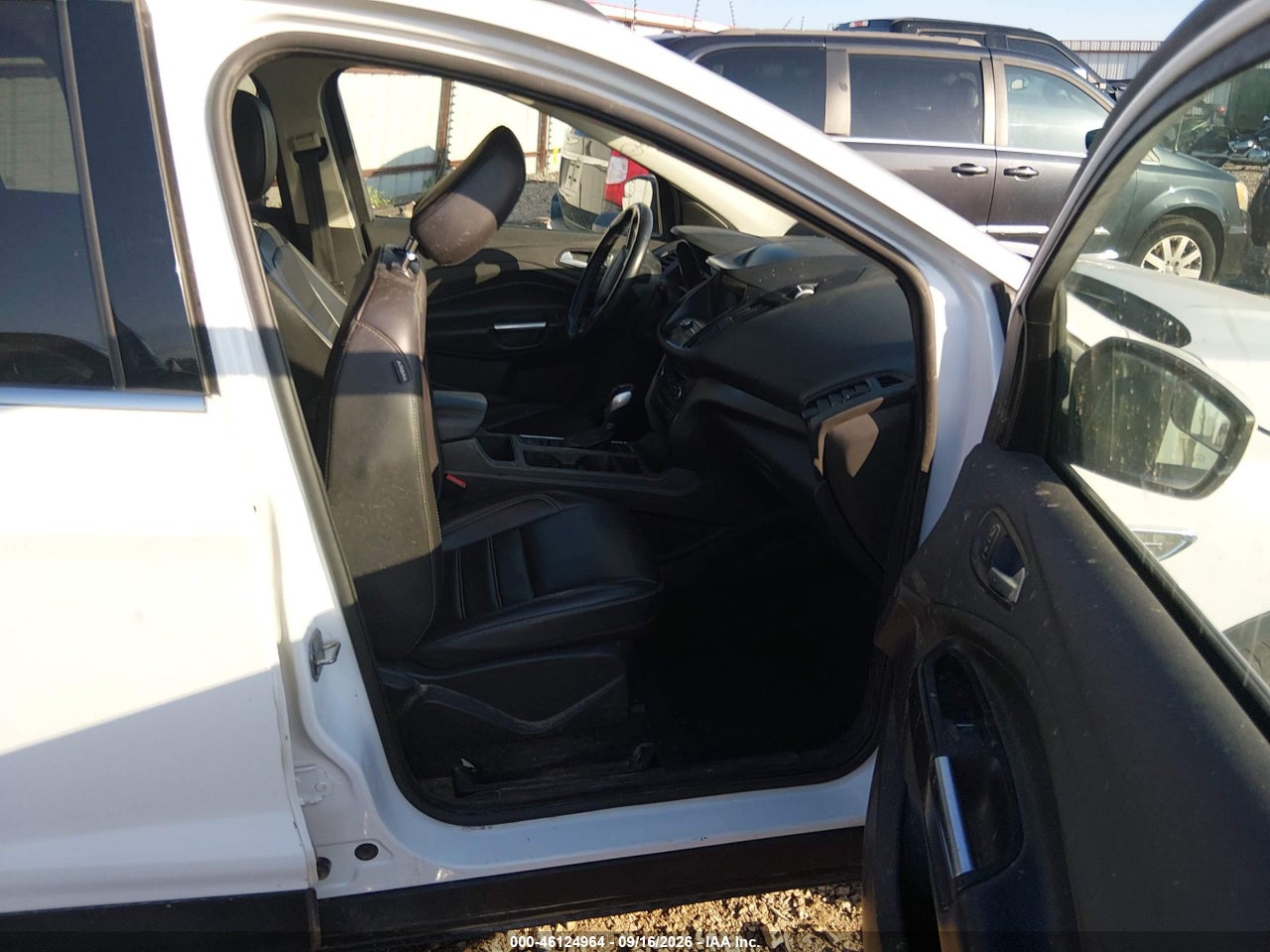 Image 5