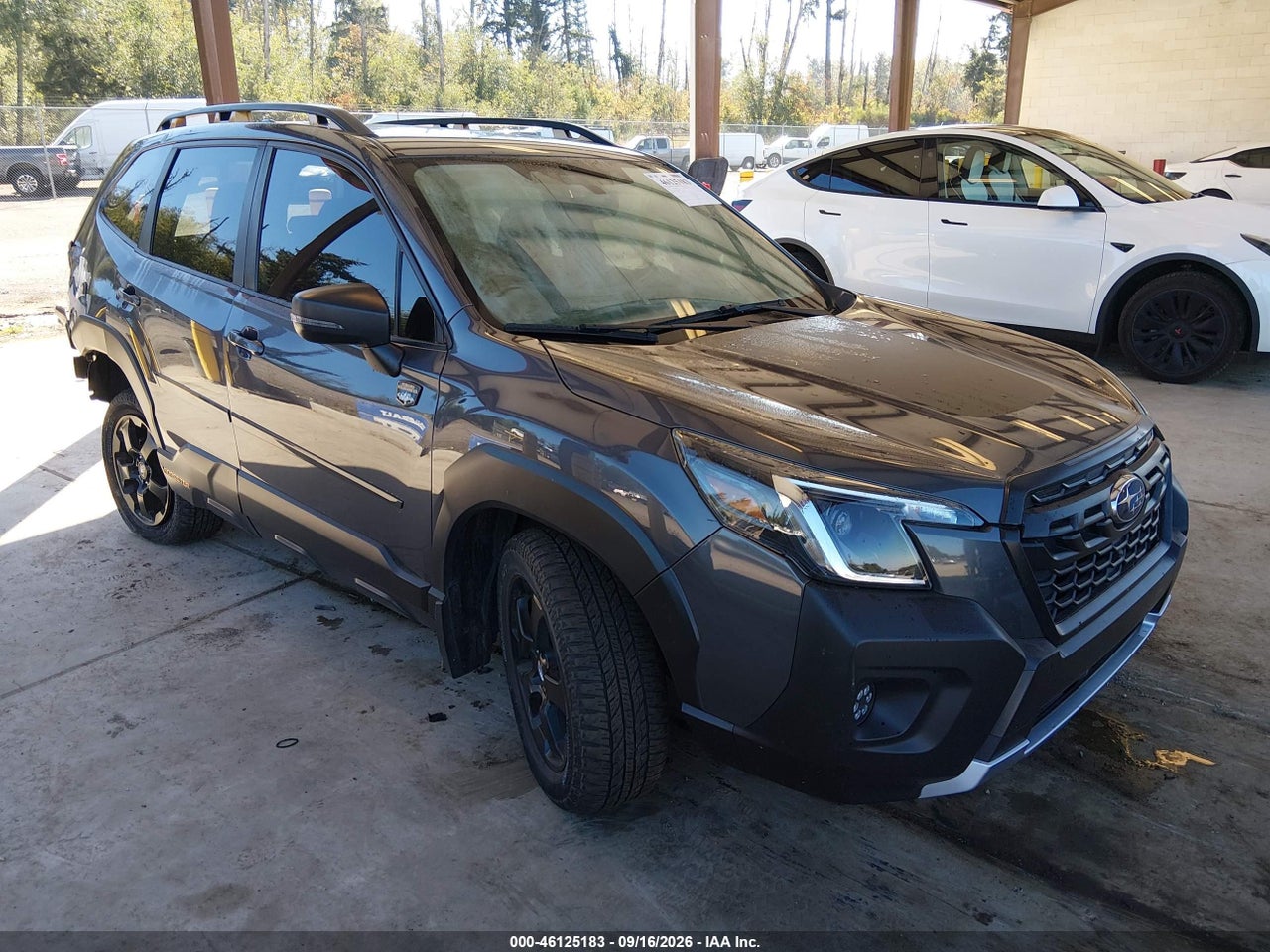 2023 Subaru Forester