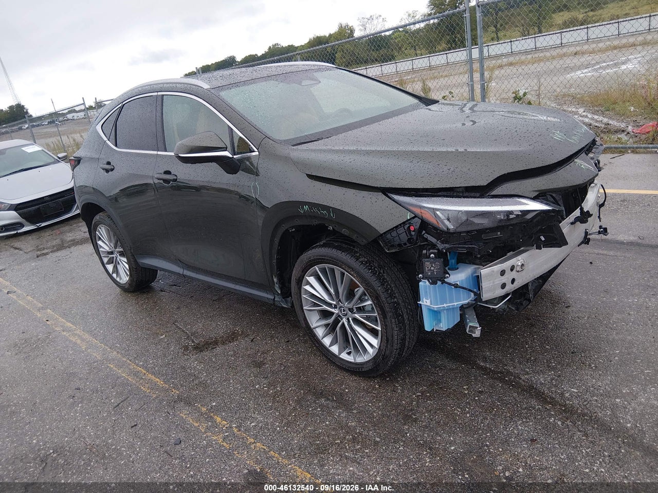 2025 Lexus NX