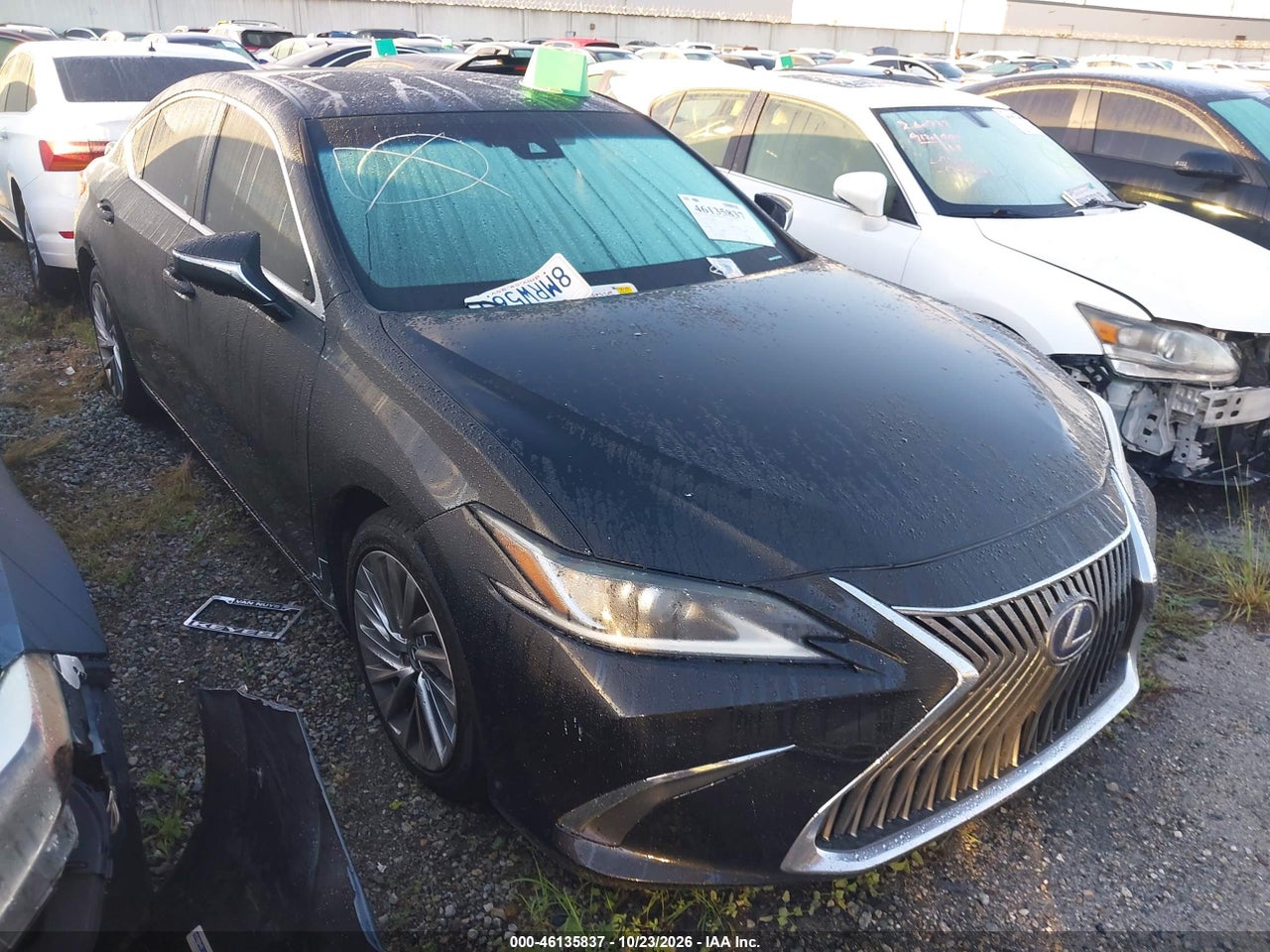 2019 Lexus ES