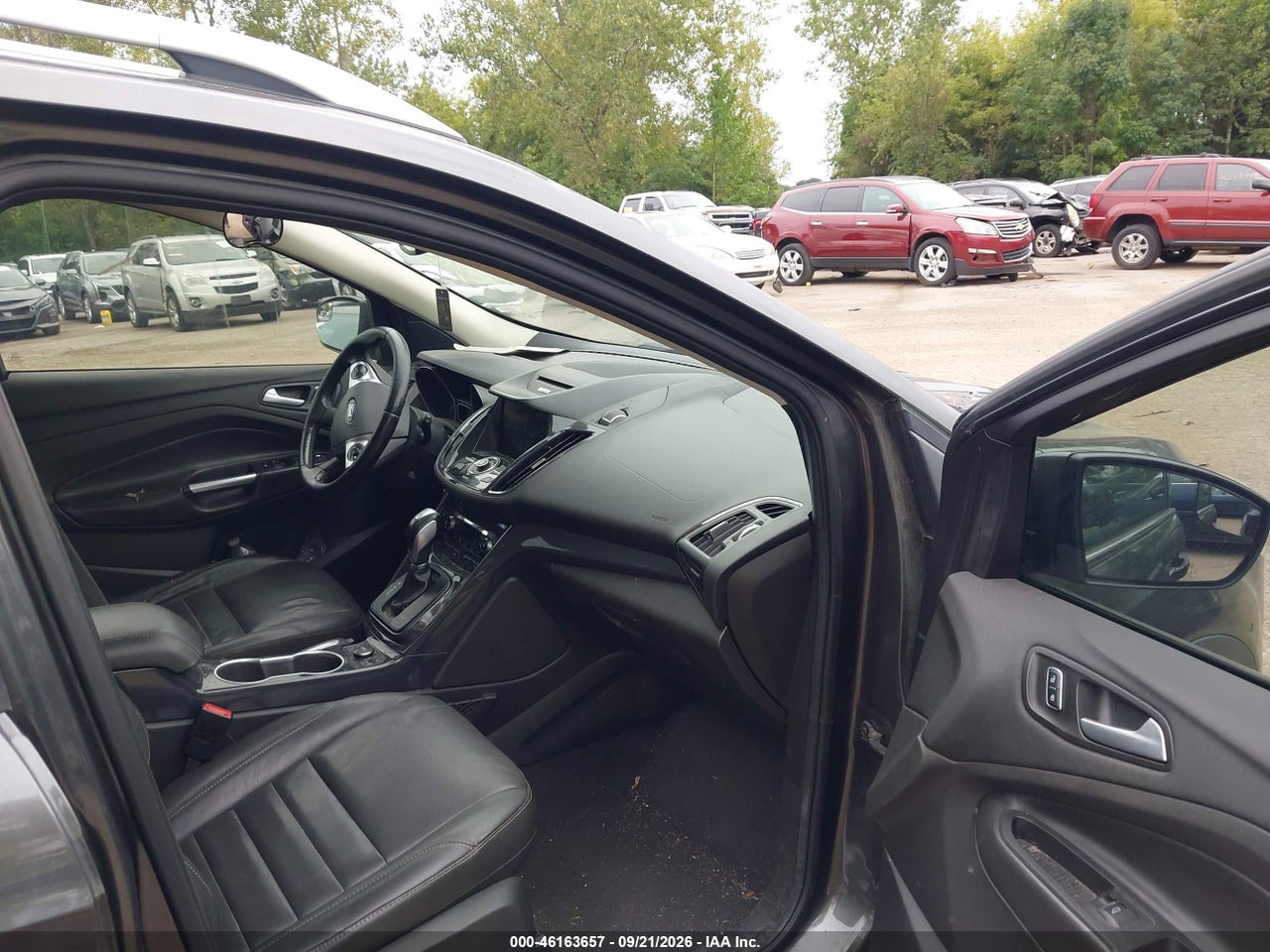 Image 5