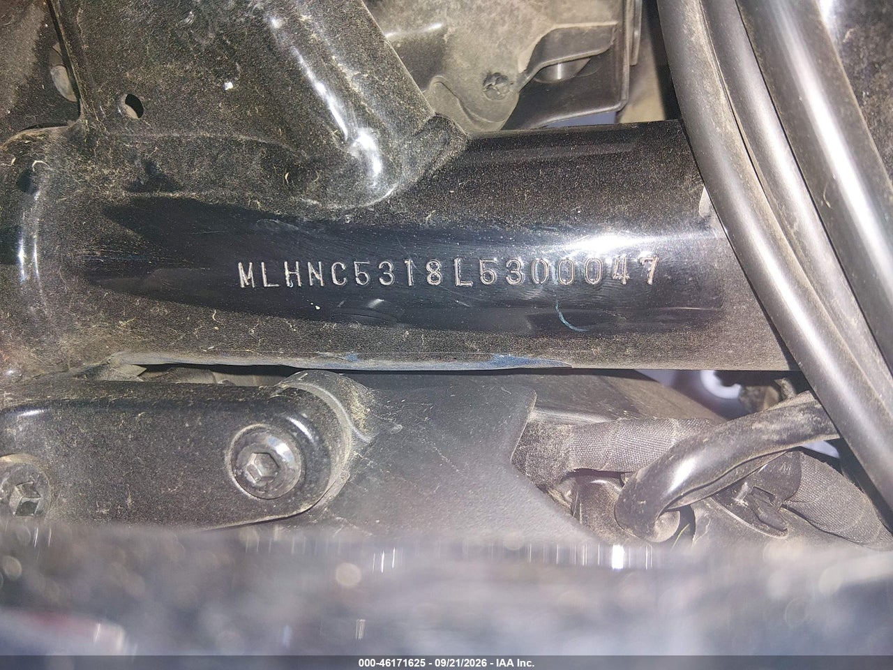 Image 10
