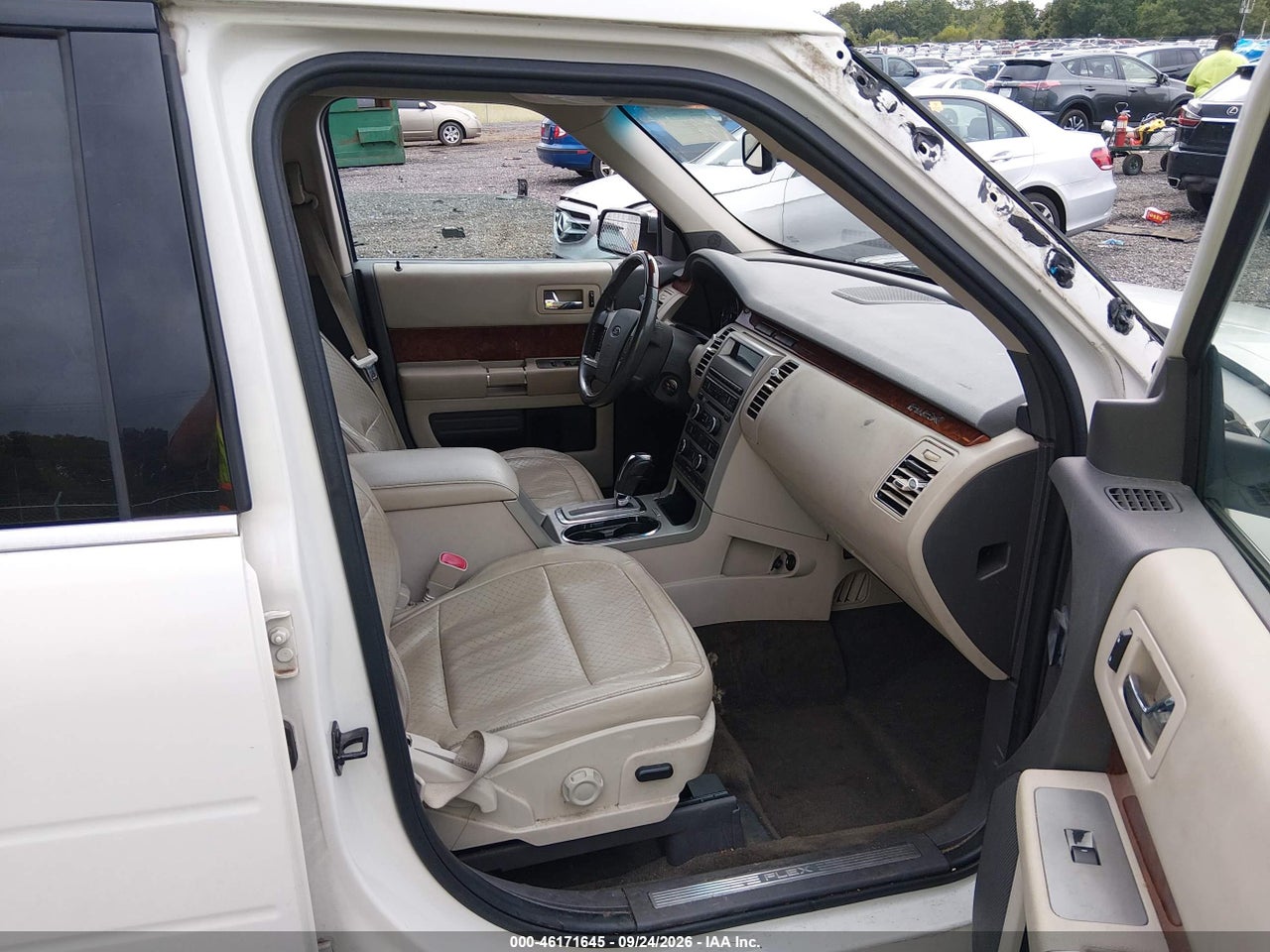 Image 5