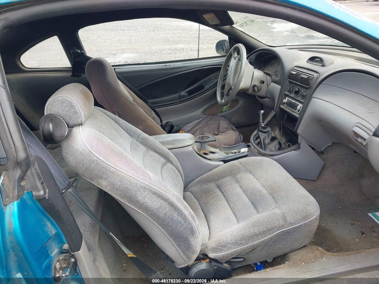 Image 5